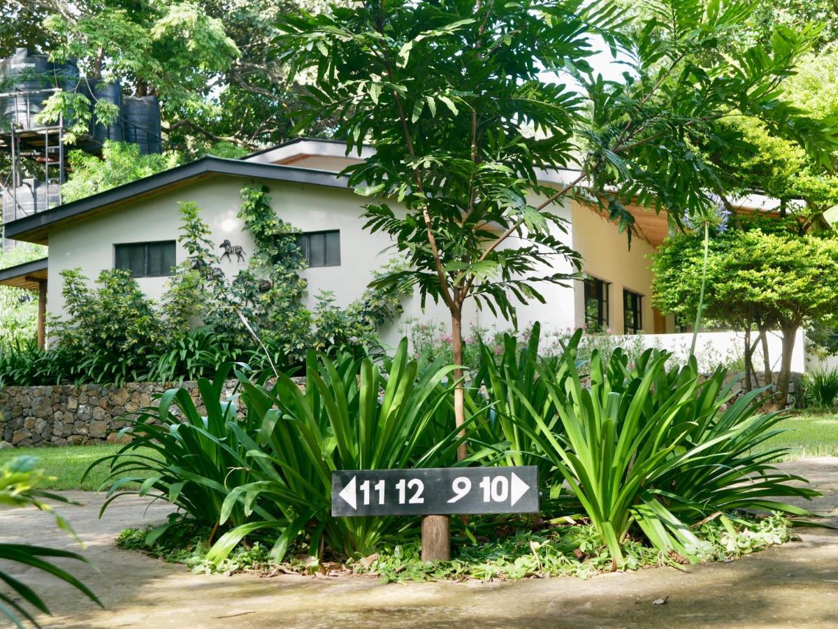 Arusha Villa Karamu Coffee Estate Usa River ภายนอก รูปภาพ