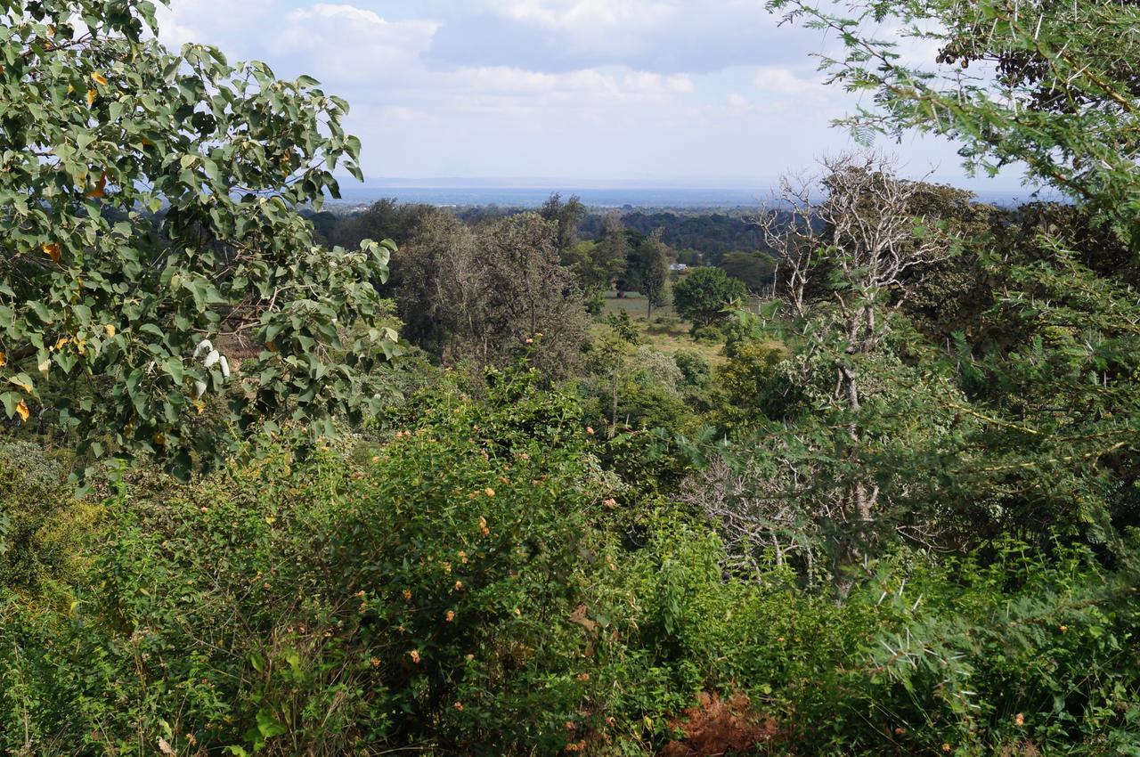 Arusha Villa Karamu Coffee Estate Usa River ภายนอก รูปภาพ