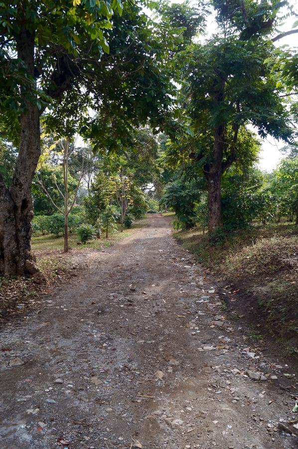 Arusha Villa Karamu Coffee Estate Usa River ภายนอก รูปภาพ