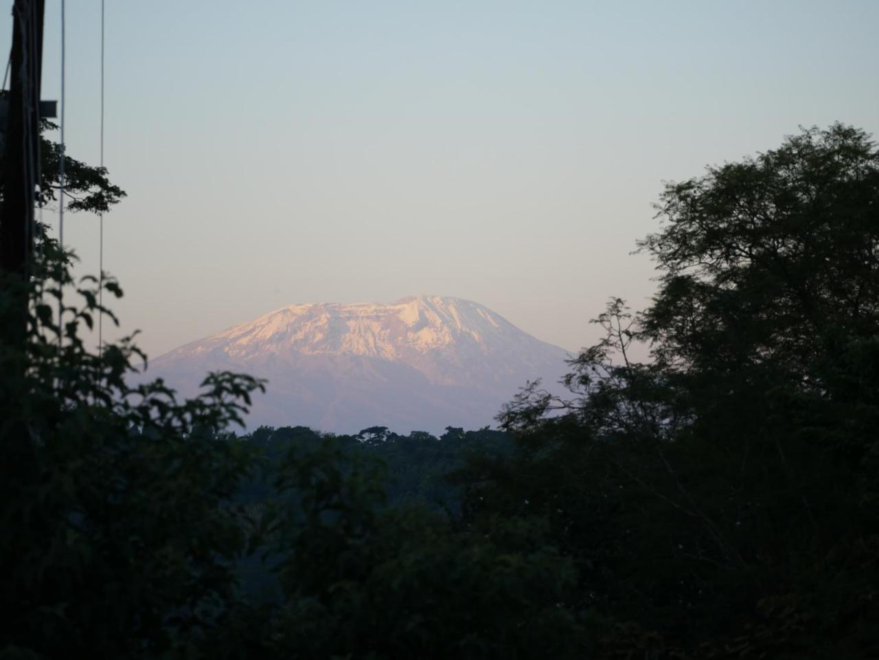 Arusha Villa Karamu Coffee Estate Usa River ภายนอก รูปภาพ